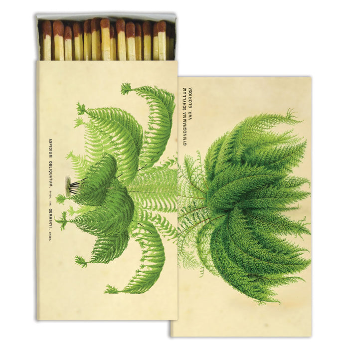 FEATHER FRONDS BOXED MATCHSTICKS